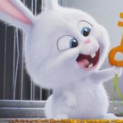The Secret Life Of Pets is an absolute leader in rental in the world: adults and children are still watching furry heroes! It's problem is not a TV show, but only an animated feature, and in the modern reality it becomes a tangible problem. Writers soon realized that they needed not just to try to grab bull's horns, but have to turn this horn in a winning cup and drink from it the divine ambrosia of success. That’s why we have recently heard the great news: this cartoon will be only the first about the secret adventures of animals! Apparently, there are still many secrets that the creators may tell us.